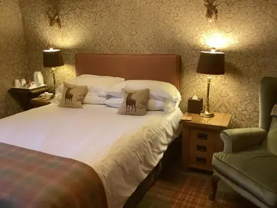 a bedroom with a bed with two pillows and a chair at Auchenlea bed and breakfast in Coatbridge