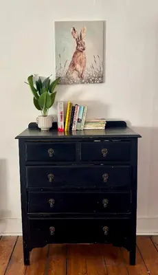 a black dresser with a plant on top of it at Bread street, Central and spacious one bed flat in Edinburgh