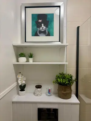 a picture of a cat sitting on a shelf at Bread street, Central and spacious one bed flat in Edinburgh