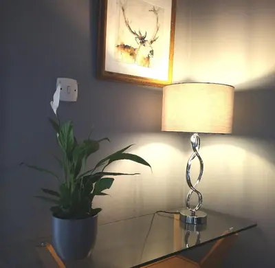 a lamp on a glass table next to a plant at Iona in Stirling