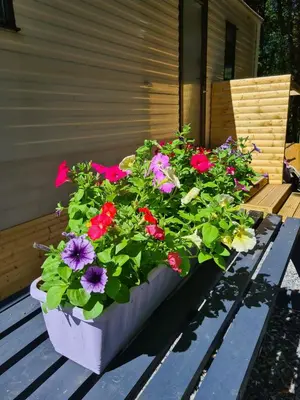 a planter filled with flowers sitting on a table at Unique Caravan with Outdoor Space in Ballantrae