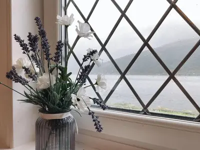 a vase filled with flowers sitting on a window sill at MacLeen Cottage in Arrochar