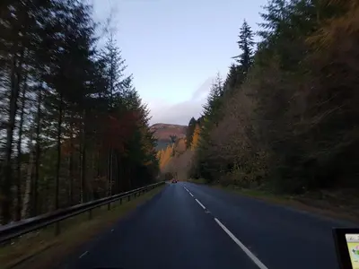a car driving down a road in the woods at Oakview Chalet in Glencoe