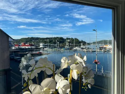 a window with a view of a marina at Island View in Oban