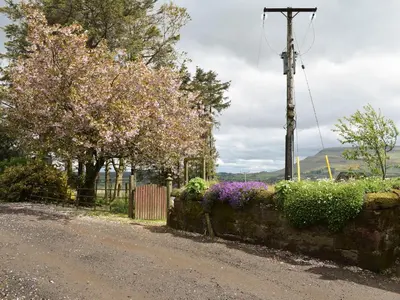 a street with flowers and a stone wall and a pole at The Barn in Fintry