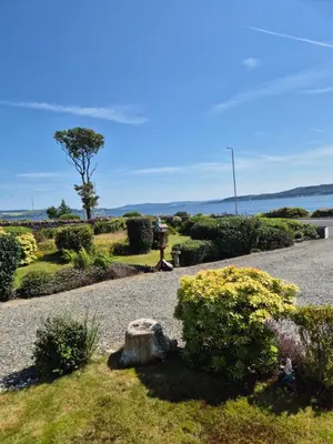 a garden with bushes and a tree on a gravel road at Coorie Braw Cottage in Kirn