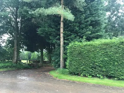 a tree with a bench in a park at The Stables near Glasgow in Balmore