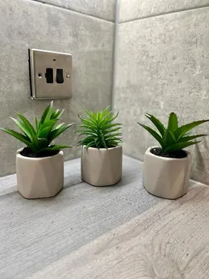 three potted plants sitting on a counter in a bathroom at 1 bed Apt in West End in Glasgow