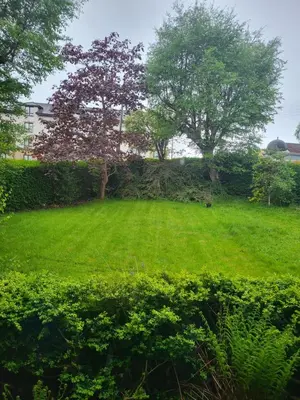 a field of green grass with trees and bushes at Large 3 Bed Apartment Glasgow West End Free Parking & Electric Vehicle point in Glasgow