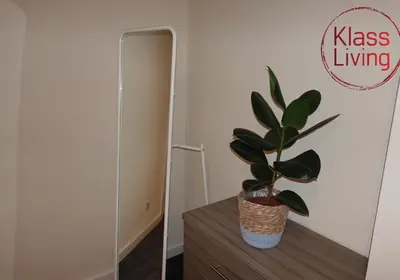 a plant sitting on a table next to a mirror at Welsh Drive Apartment by Klass Living Blantyre in High Blantyre