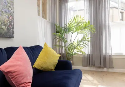 a blue couch with pillows in a living room with a plant at The Old Bakery in Edinburgh