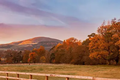 a mountain in the distance with trees and a fence at The Secret Hideaway in Penicuik
