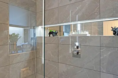 a bathroom with a shower with a black cat sitting on a ledge at Pitcorthie House in Dunfermline