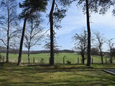 a group of trees in a field with a fence at Pinewood Cabin in Saline