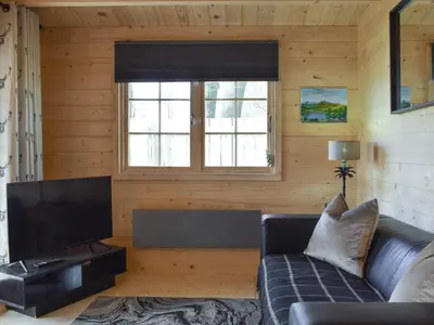 a living room with a couch and a television at Pinewood Cabin in Saline
