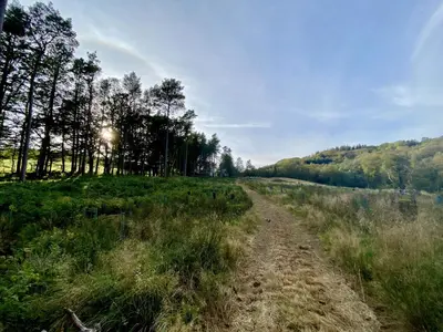 a dirt road in the middle of a field with trees at Balbeg Cottage in Straiton