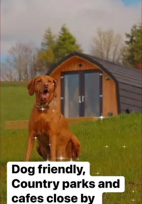 a dog friendly country parks and cats close by at Fox's Den in Bathgate