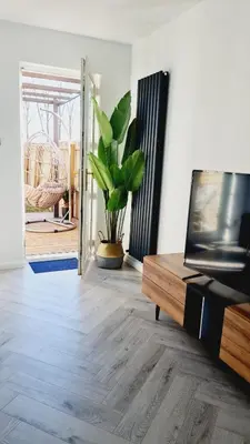 a living room with a tv and a potted plant at Beautiful 2bed house with garden, walking distance to town - FREE parking in Glasgow