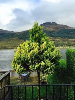 a tree with a table and chairs next to a lake at Viking Cottage in Arrochar