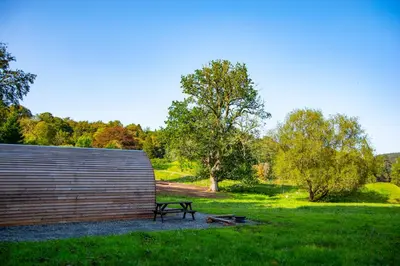 a wooden building with a bench in a field at Luxury Rural Ayrshire Glamping Pod in Dalmellington