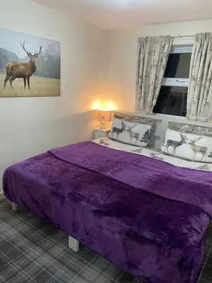 a bedroom with a purple bed with a deer on the wall at Lamlash (holiday) Lets in Lamlash