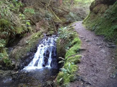 a waterfall on a trail in a forest at Pucks Glen Lodges - Cosy Lodges in a Woodland Setting in Dunoon