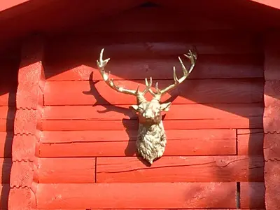 a moose head hanging on the side of a red wall at Pucks Glen Lodges - Cosy Lodges in a Woodland Setting in Dunoon