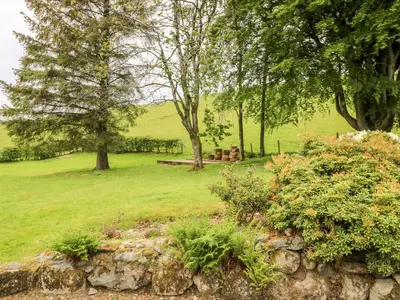 a field with trees and a stone wall at Strathannan in Moffat