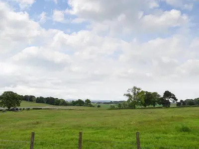 a field of green grass with a fence at The Wee White Cottage in Bannockburn