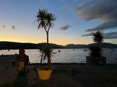 a palm tree on the shore of a body of water at Beautiful Upper Apartment/Stunning Sea Views, Isle of Bute in Port Bannatyne
