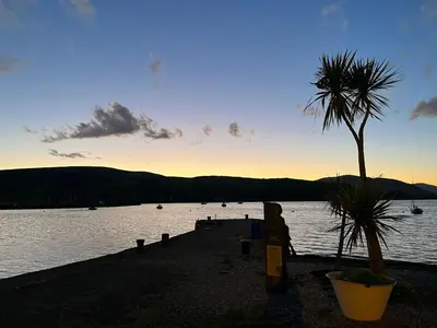 a palm tree sitting next to a body of water at Beautiful Upper Apartment/Stunning Sea Views, Isle of Bute in Port Bannatyne