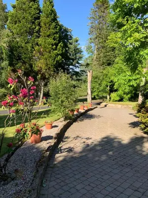 a park with a row of potted plants and trees at Havenwood in Ayr
