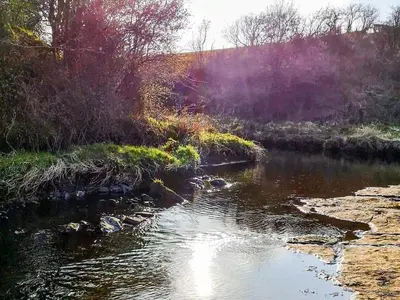 a river with rocks and trees on the side at Holmbyre Smithy in Dalry