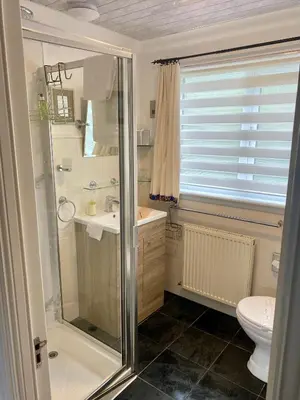 a bathroom with a shower and a sink and a toilet at Rowan House B&B Rooms & A Self Catering Apartment in Lochgoilhead