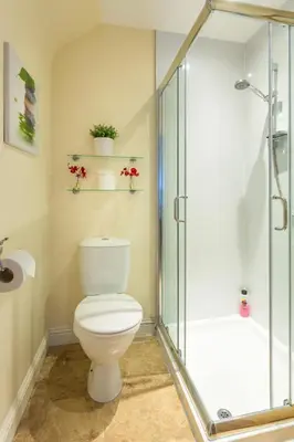 a bathroom with a toilet and a shower at Neptunes Rest Guest Hotel in Stranraer