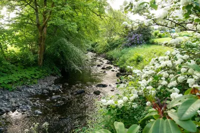 a stream in a garden with white flowers at Cosy Cute Cabin with Large Veranda & Outdoor Bath in Glasgow