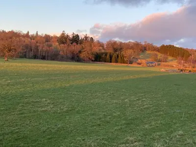 a large green field with trees in the background at The Granary in Stirling