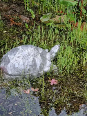 a statue of a turtle in the grass at WATERSIDE 3 BED COTTAGE, HOT TUB, SAUNA, PVT BEACH in Arrochar