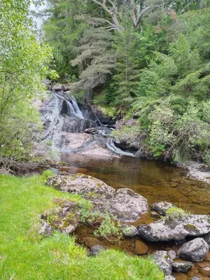 a creek with a waterfall in the middle of a forest at Beautiful Farm House at the foot of Ben More. in Crianlarich