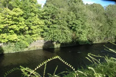 a body of water with trees and a river at The Kelvin - Peaceful West End River View Property in Glasgow
