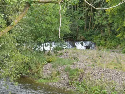 a waterfall in the woods next to a river at Devin Lodge in Dollar