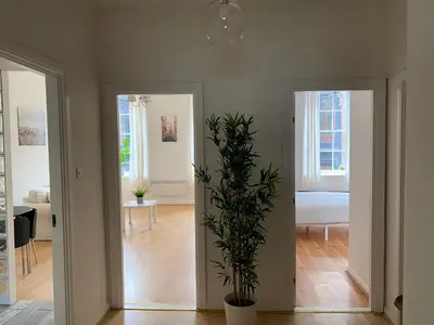 a hallway with two doors and a potted plant at Lovely 1-Bed Apartment in Glasgow Merchant City in Glasgow