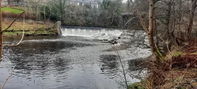 a waterfall in front of a pond with ducks in it at Lanarkshire Apartment- Views- Sleeps 4- Balcony in Larkhall