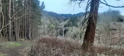 an old bridge in the middle of a forest at Lanarkshire Apartment- Views- Sleeps 4- Balcony in Larkhall