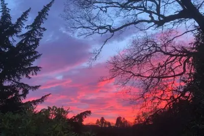 a colorful sunset with trees in the foreground at Unique Orchard Lodge for couples with hot tub in Strathaven