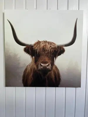 a brown bull with horns standing behind a fence at Amazing Loch Views in Kilmun