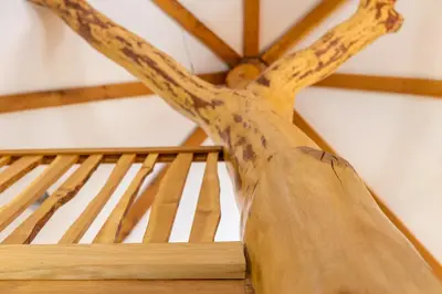 a pair of tree branches on a wooden bench at Kinlochlaich Tree House in Appin