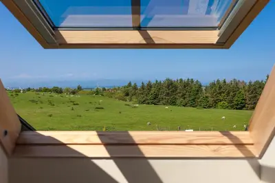 a window with a view of a field of sheep at 2 Eden at Williamscraig Holiday Cottages in Linlithgow
