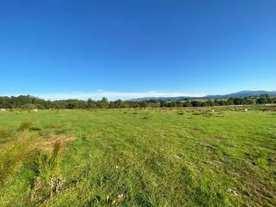 a field of green grass with animals in the distance at Gartclach-Uk40001 in Gartmore