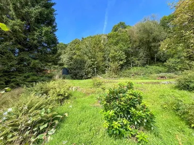 a field of grass with trees and a horse in the distance at Hazel - Apartment in Aberfoyle